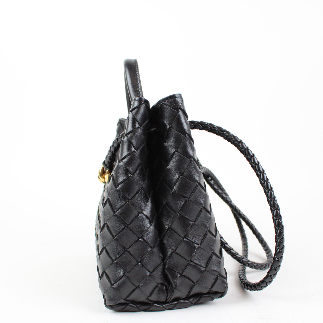 Bottega Veneta Andiamo Piccola