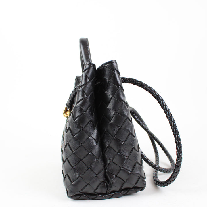 Bottega Veneta Andiamo Piccola