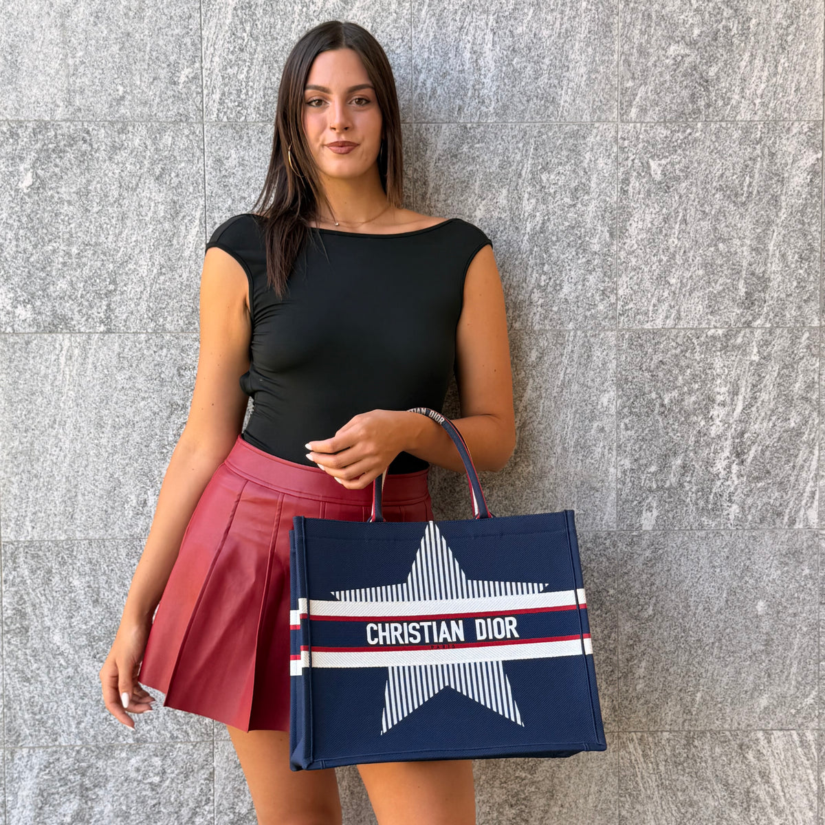 Christian Dior Book Tote Linea DiorAlps