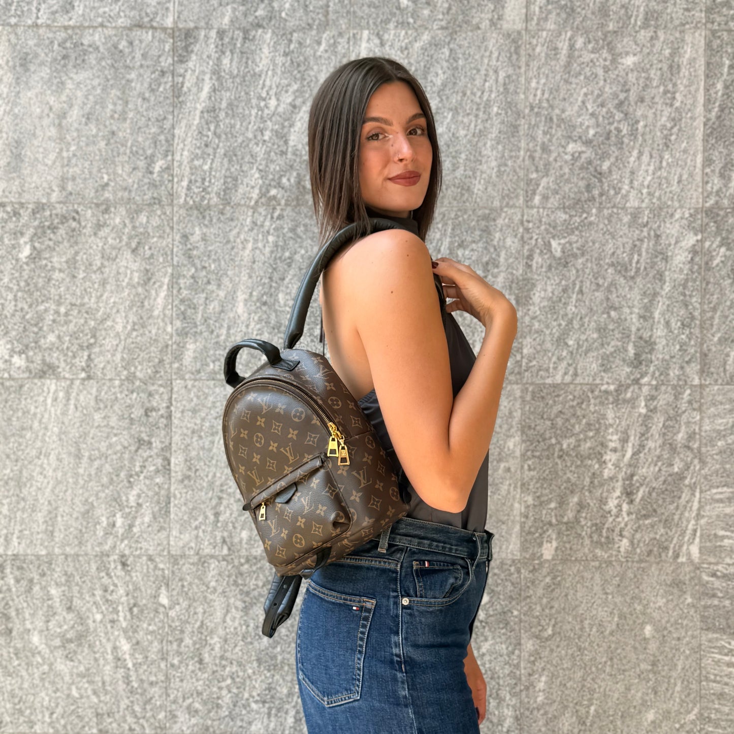 Louis Vuitton Palm Springs PM Monogram