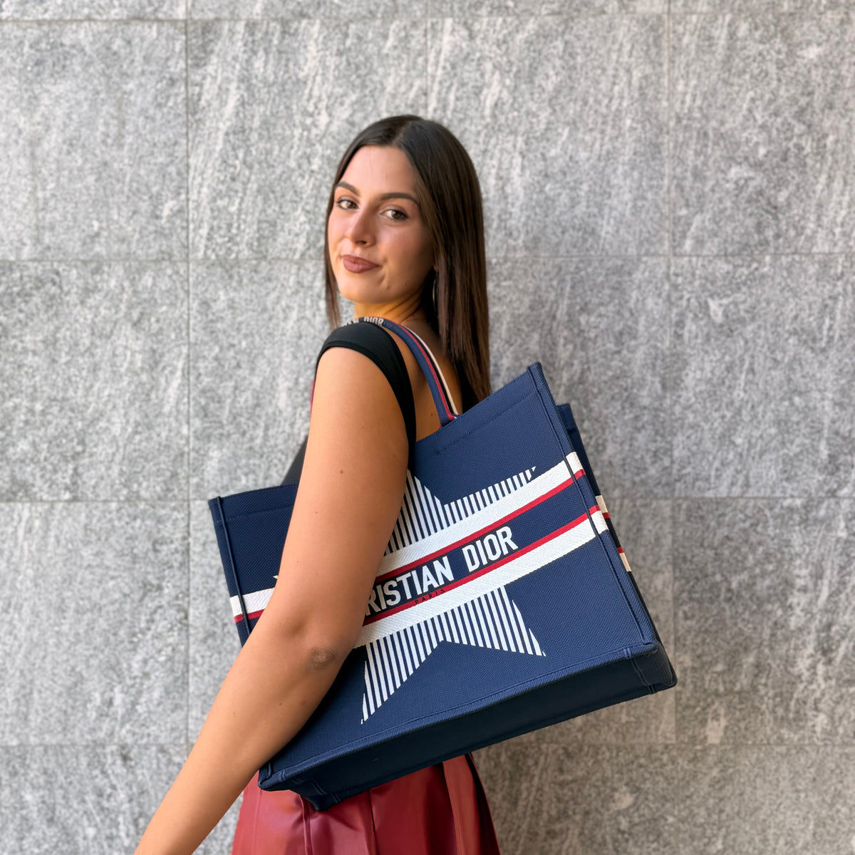 Christian Dior Book Tote Linea DiorAlps