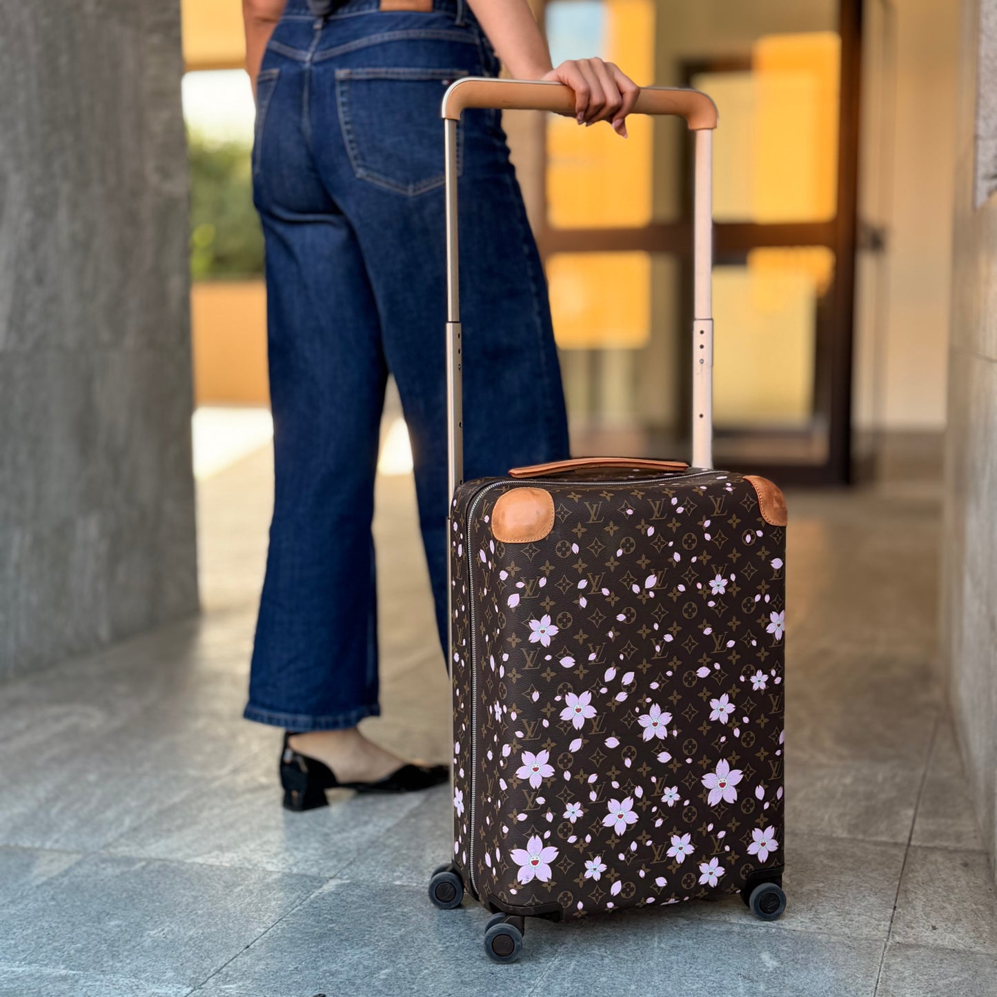 Louis Vuitton X Takashi Murakami Trolley Horizon 50