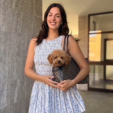 Goyard Saint Louis Per I Cani Di Taglia Piccola