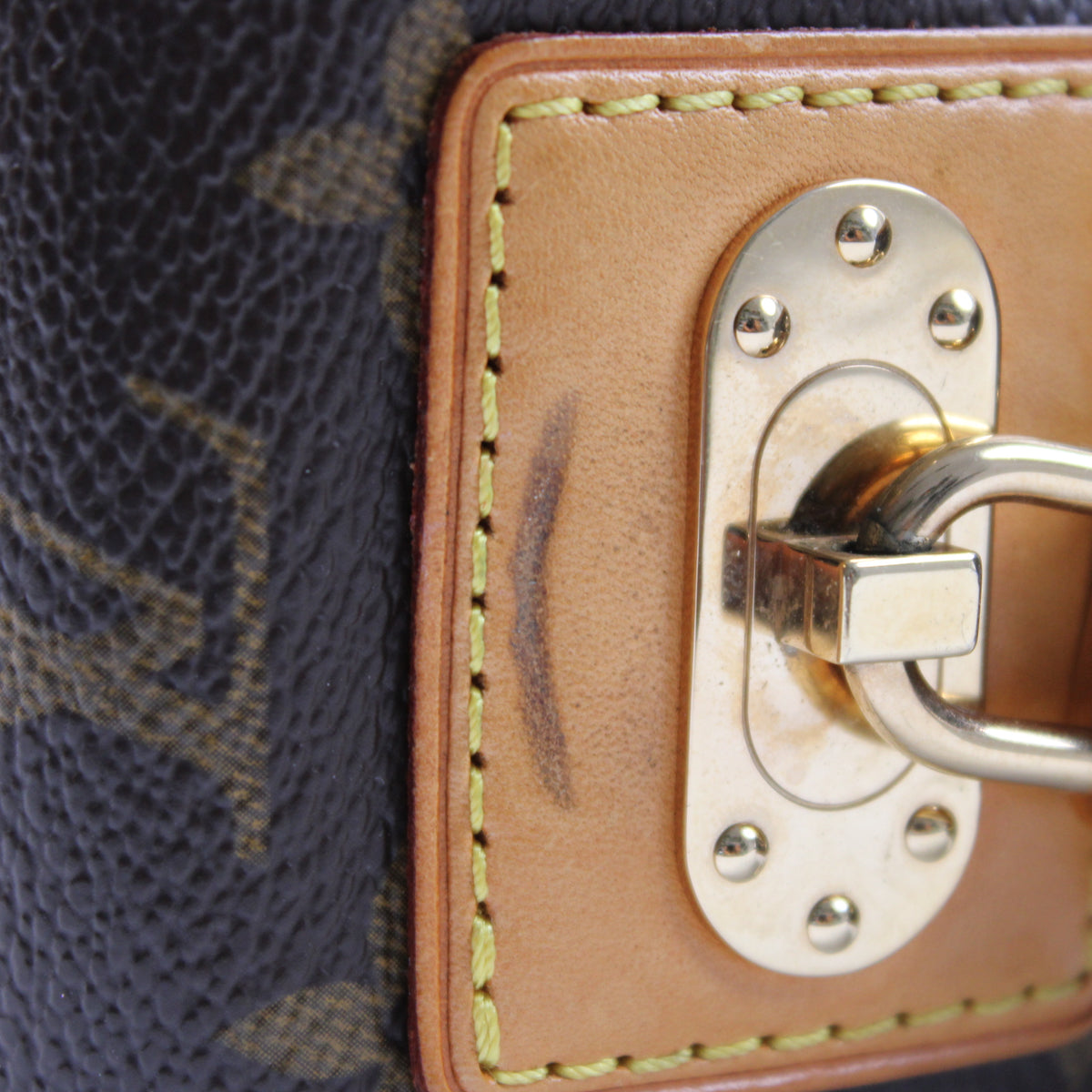 Louis Vuitton Trocadero Perfo Mini