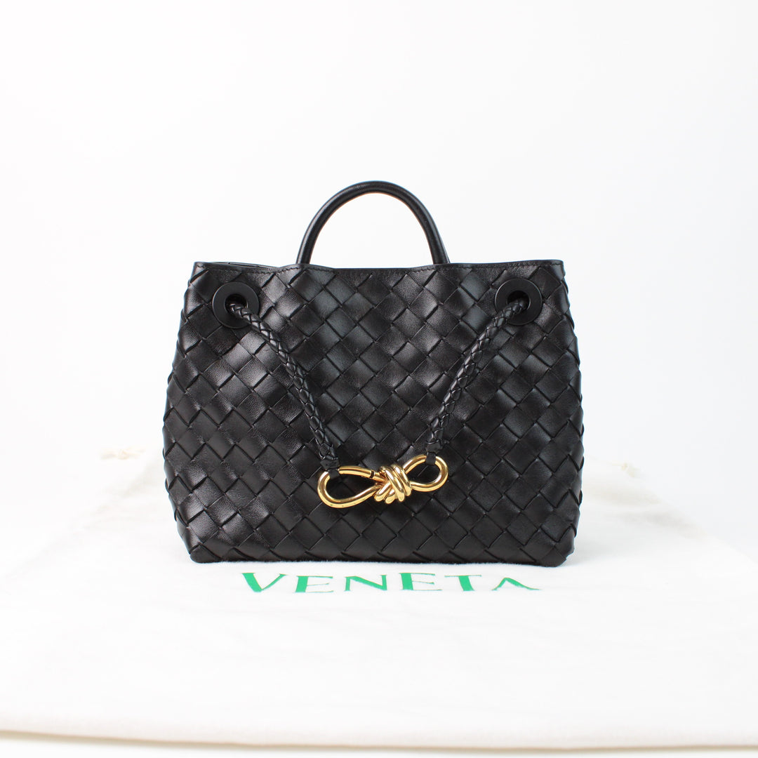 Bottega Veneta Let's Go Small