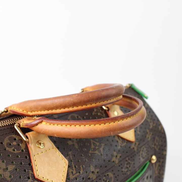 Louis Vuitton Speedy 30 Limited Edition