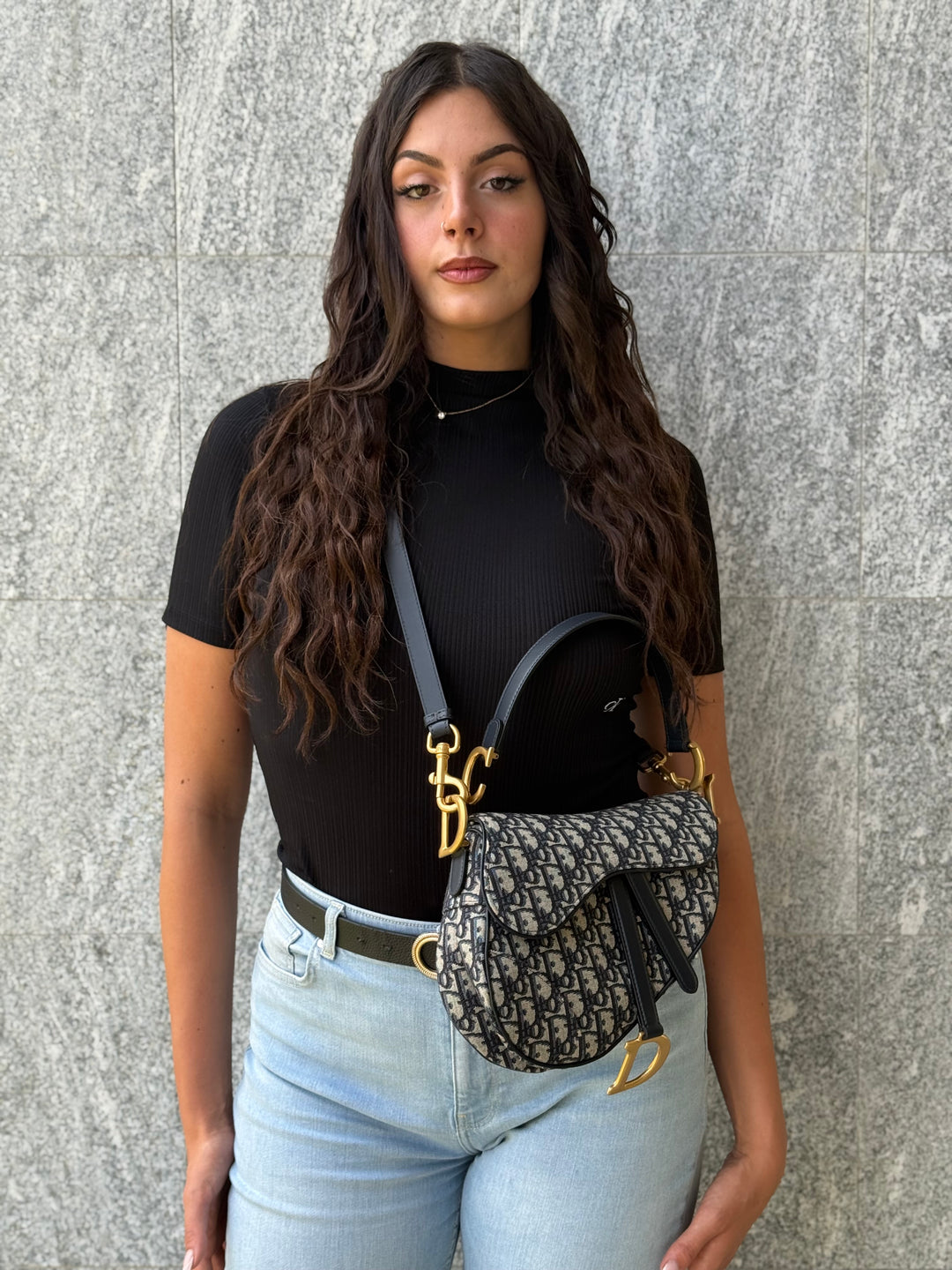 Christian Dior Saddle Monogram Media