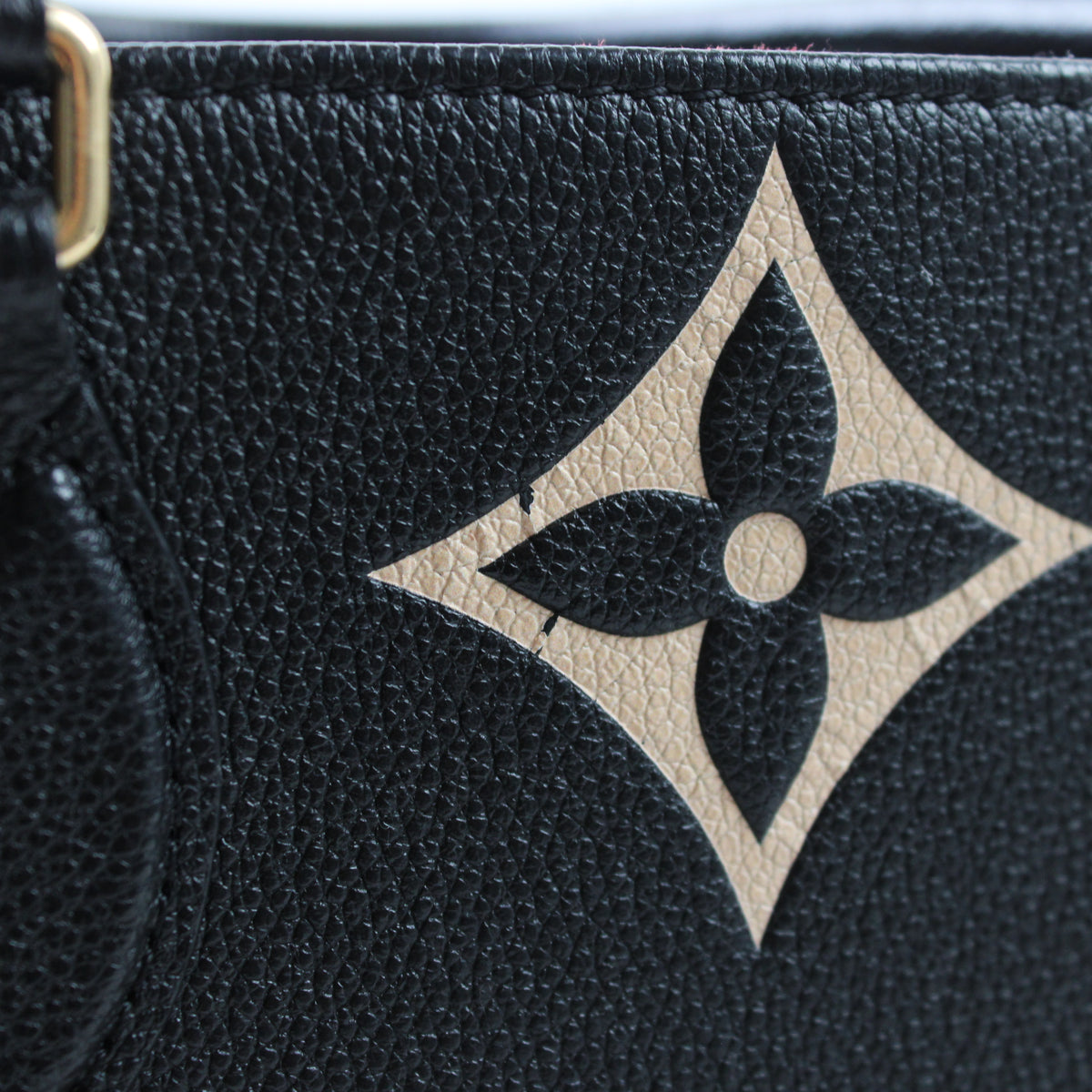 Louis Vuitton OnTheGo MM
