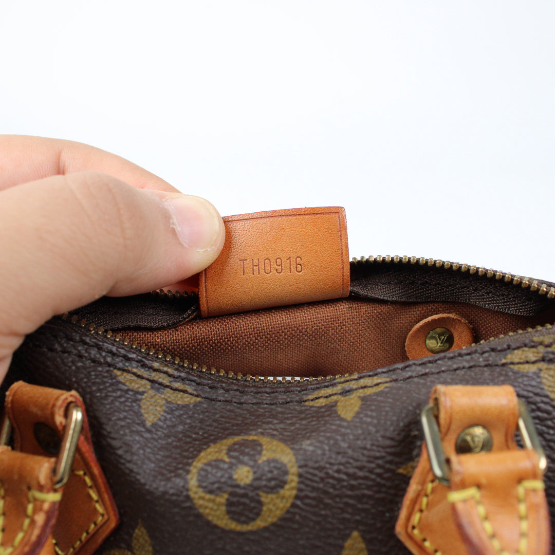 Louis Vuitton Nano Speedy