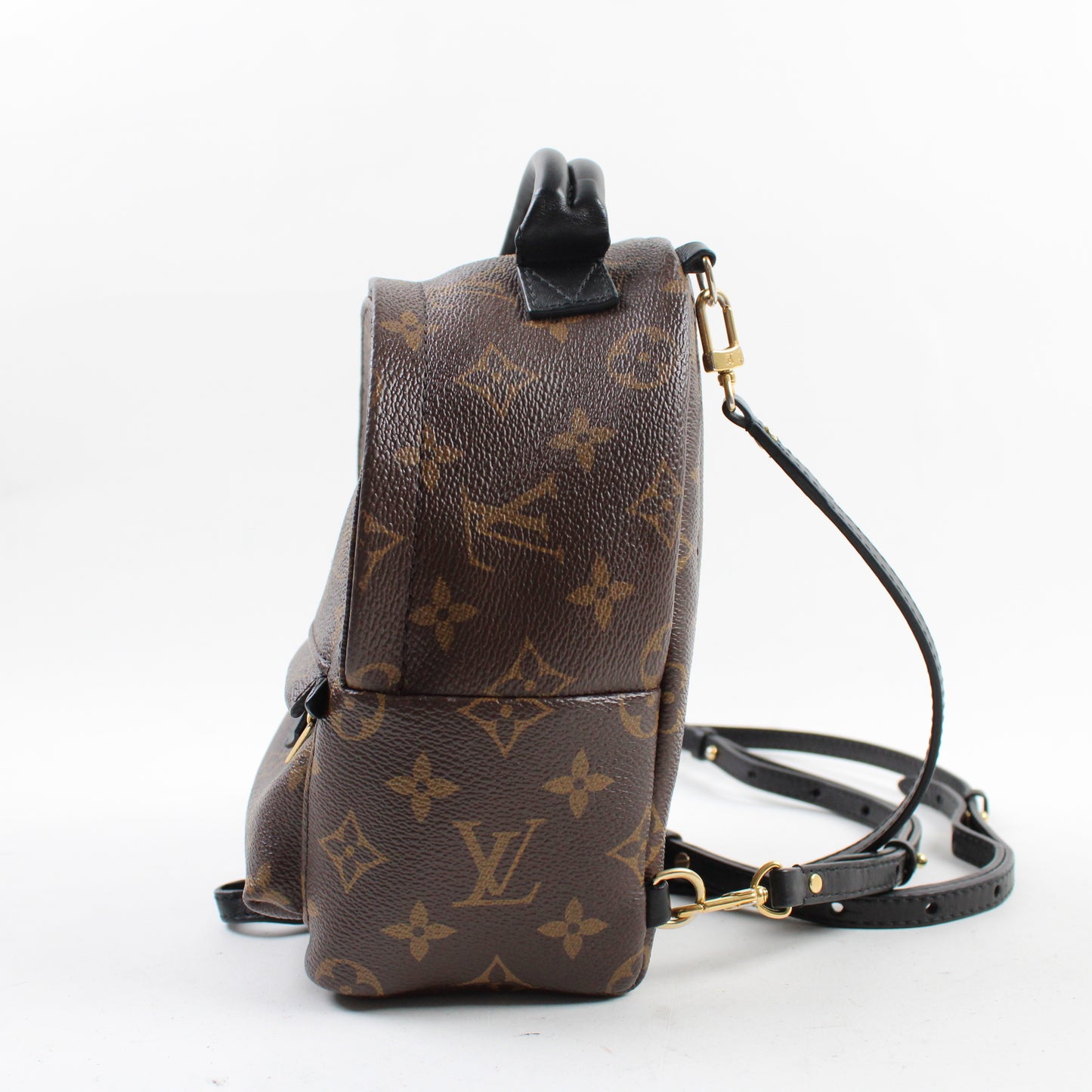 Louis Vuitton Palm Springs Mini