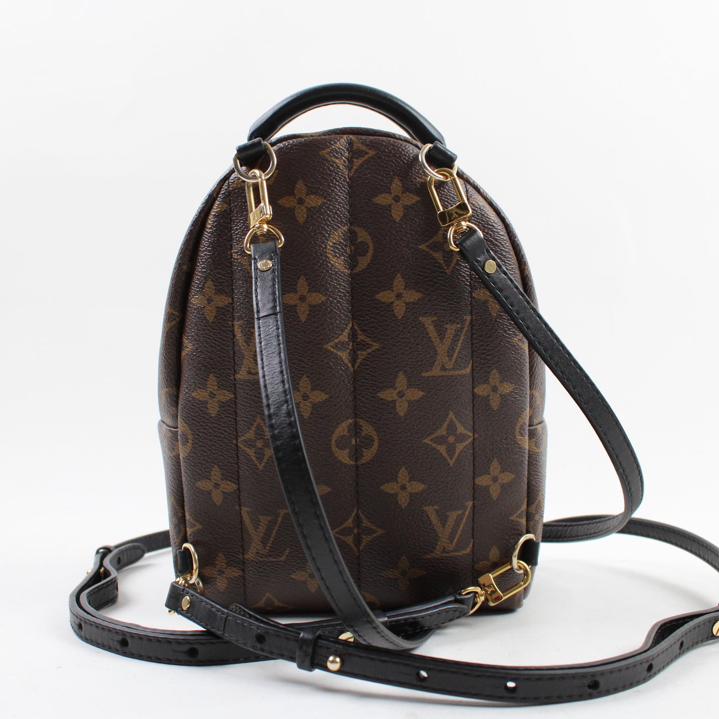 Louis Vuitton Palm Springs Mini