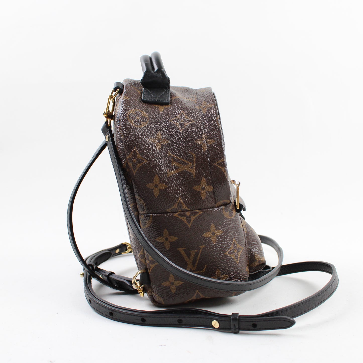 Louis Vuitton Palm Springs Mini