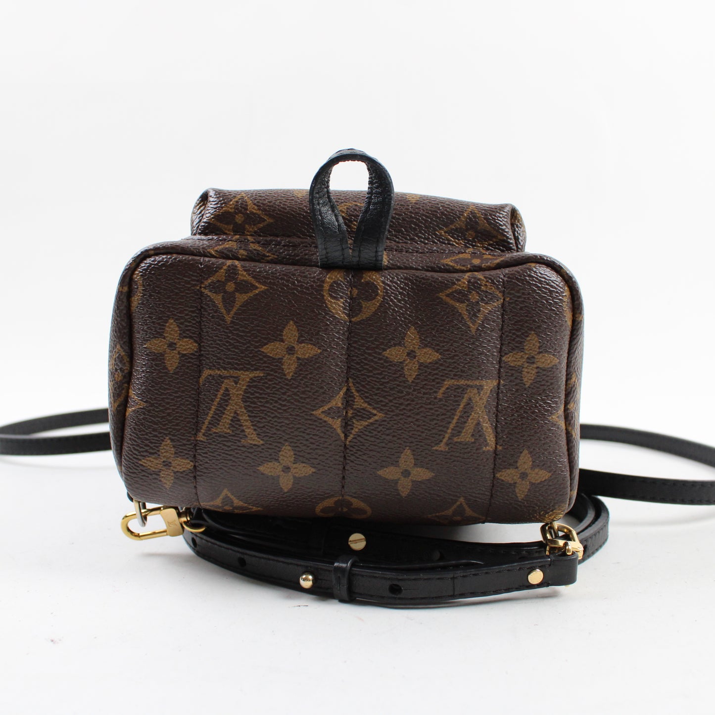 Louis Vuitton Palm Springs Mini