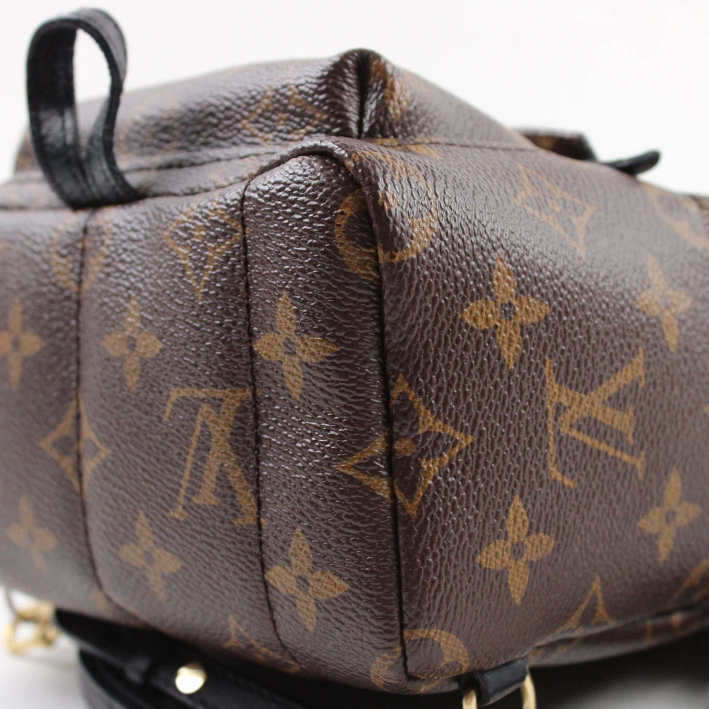 Louis Vuitton Palm Springs Mini