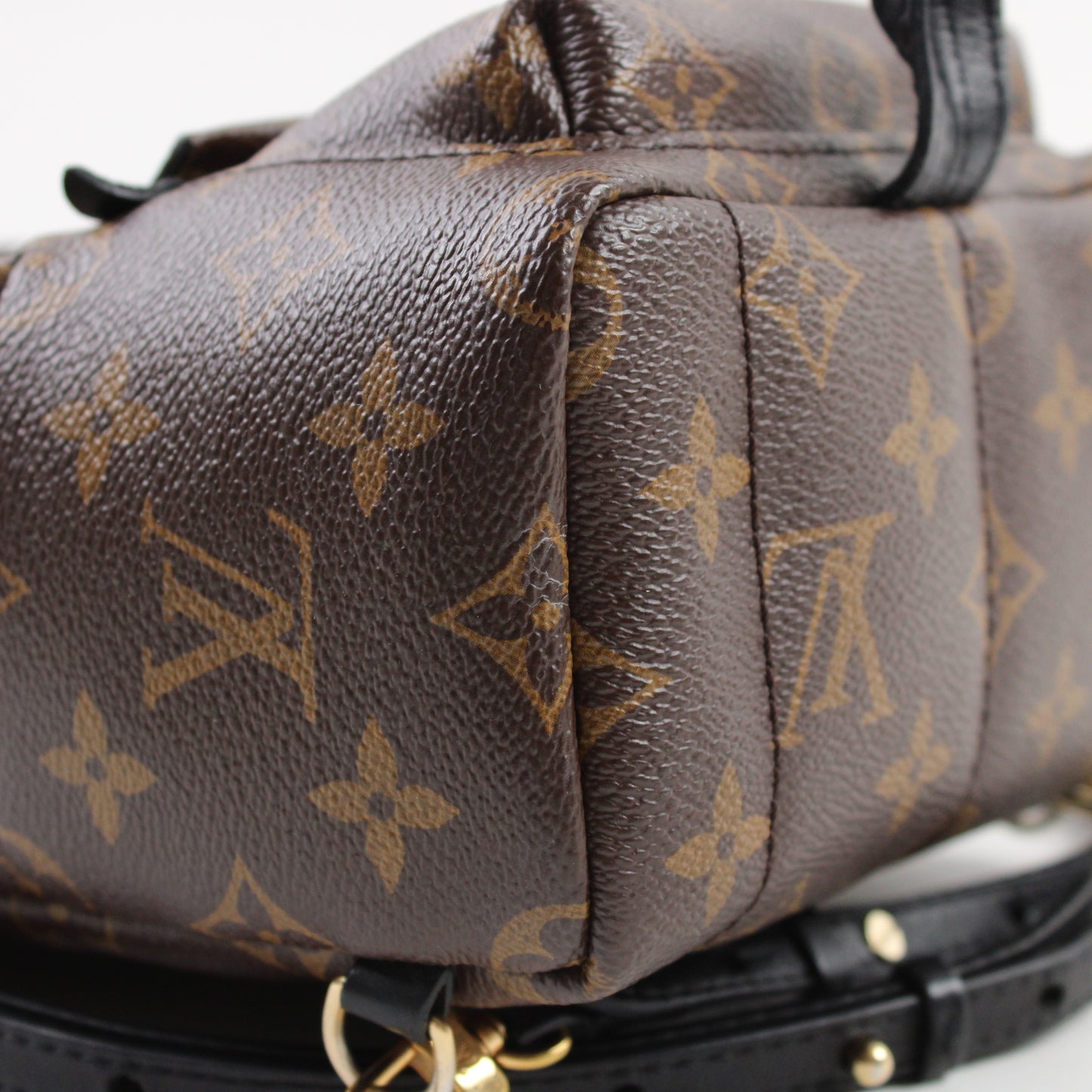 Louis Vuitton Palm Springs Mini