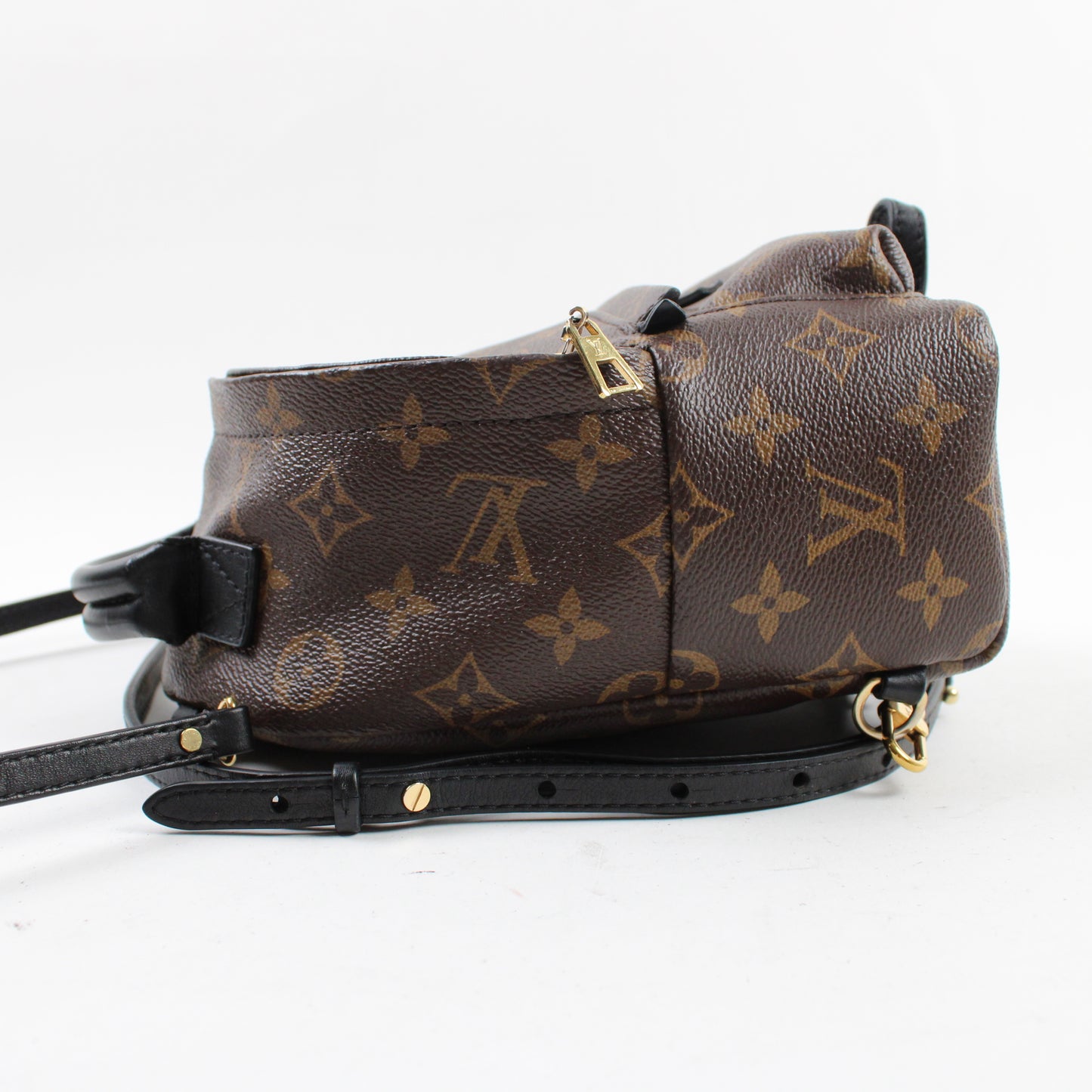 Louis Vuitton Palm Springs Mini