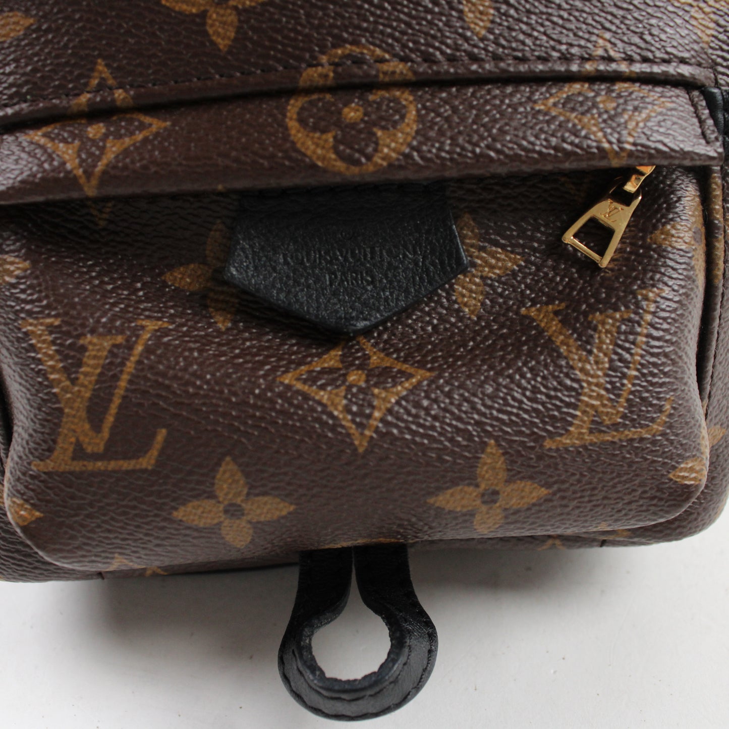 Louis Vuitton Palm Springs Mini
