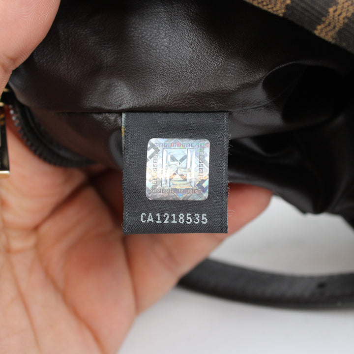 Fendi Hobo Zucca