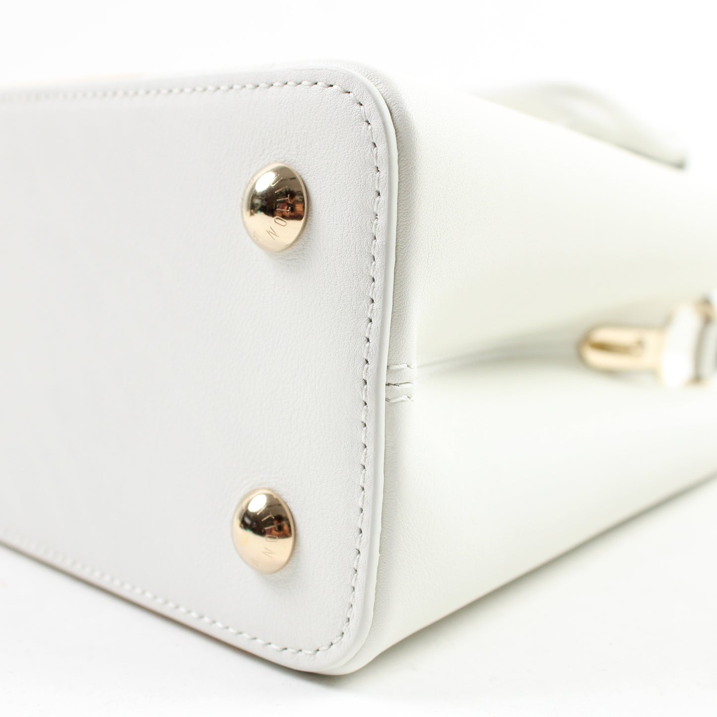 Louis Vuitton Artsy Capucines X Paola Pivi