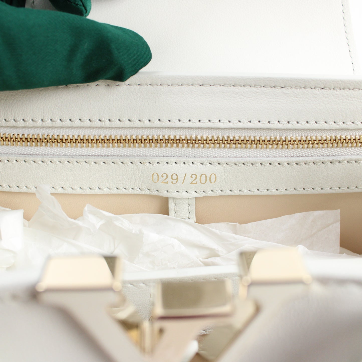 Louis Vuitton Artsy Capucines X Paola Pivi