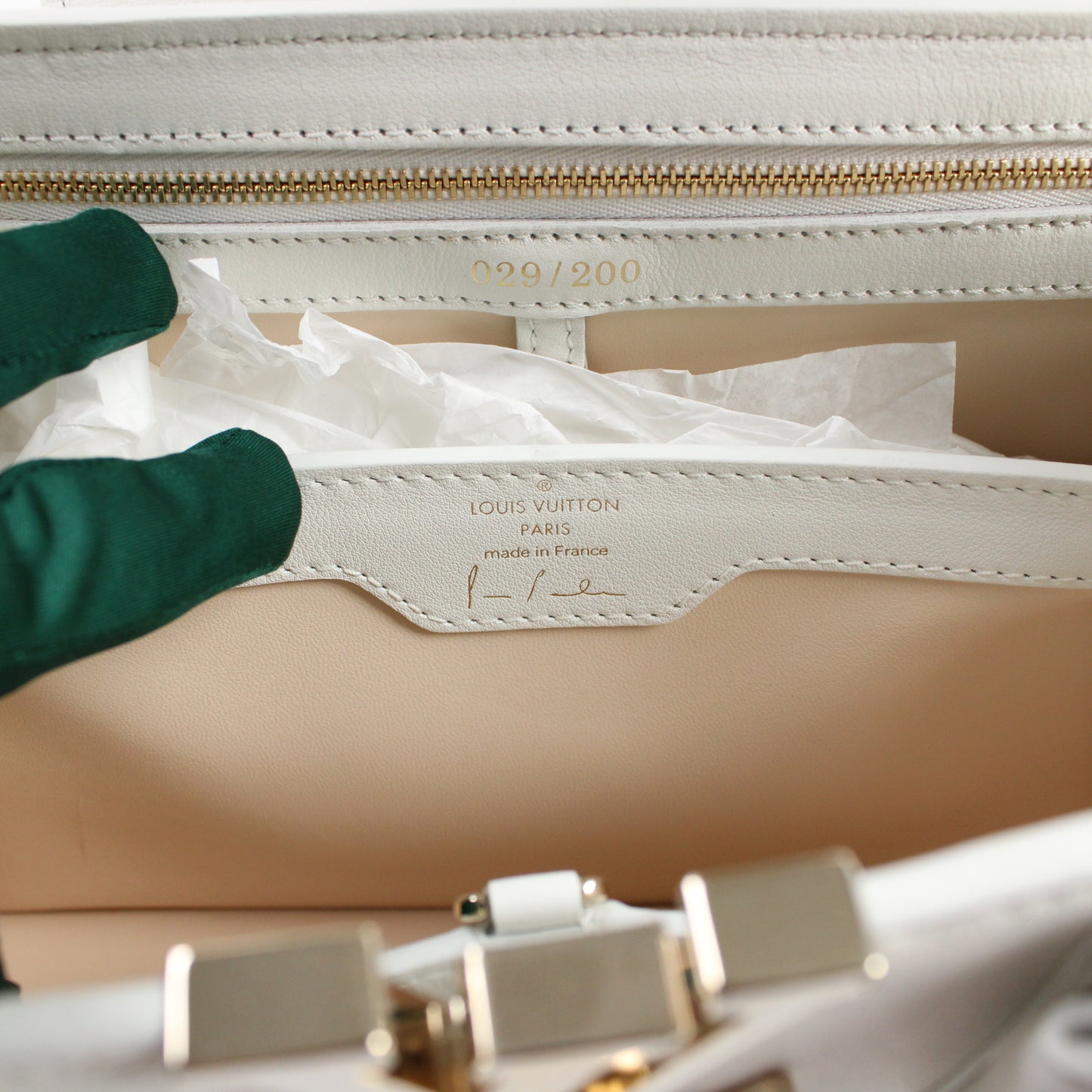 Louis Vuitton Artsy Capucines X Paola Pivi