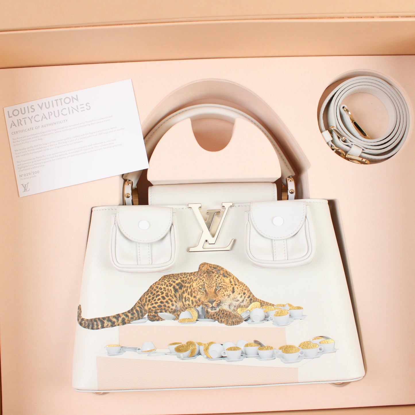 Louis Vuitton Artsy Capucines X Paola Pivi