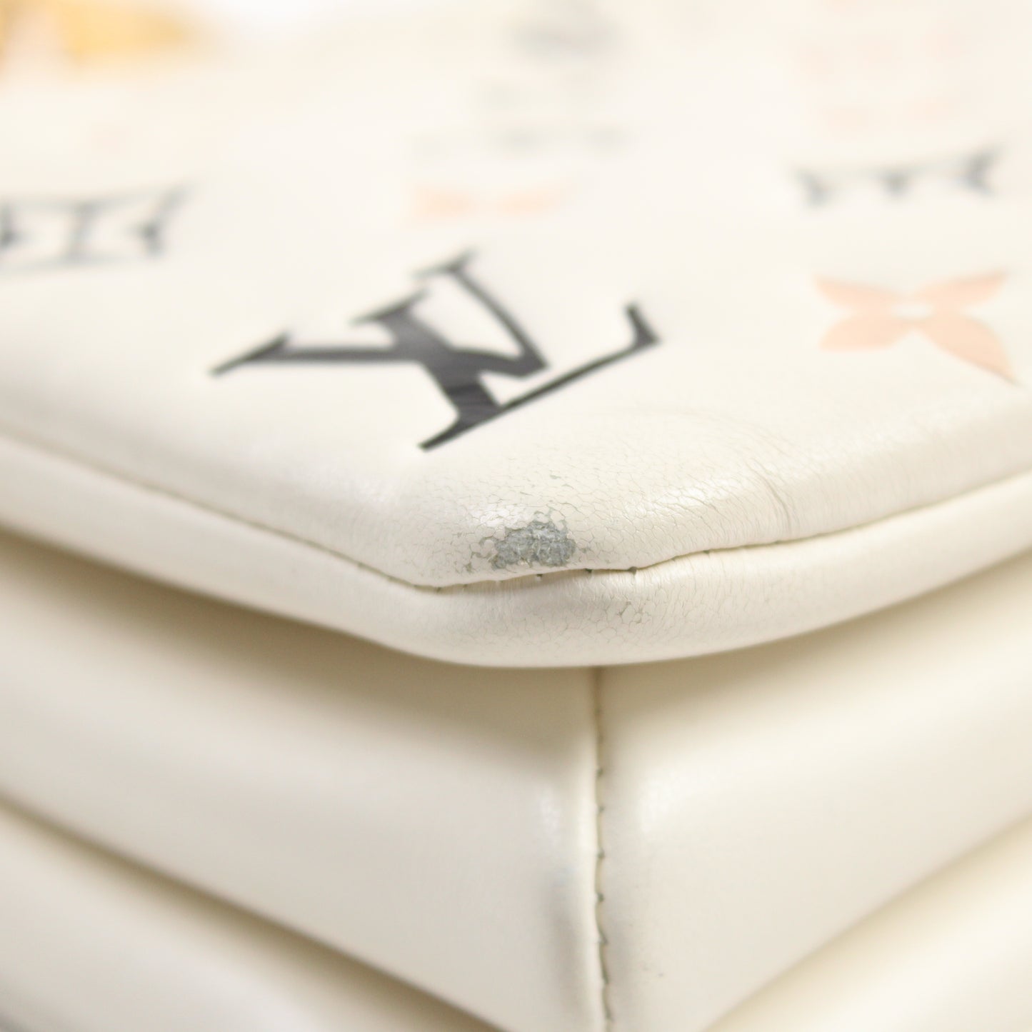 Louis Vuitton Coussin BB Edizione Limitata