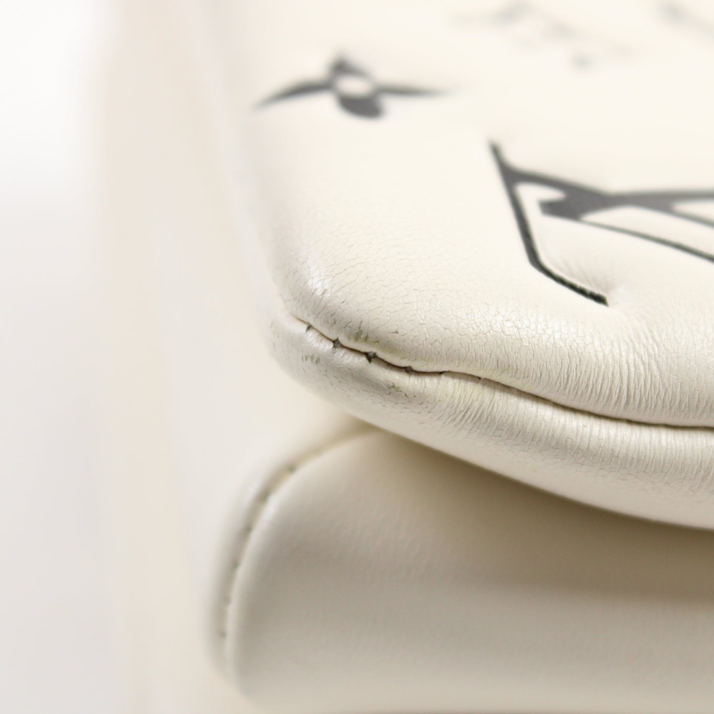 Louis Vuitton Coussin BB Edizione Limitata