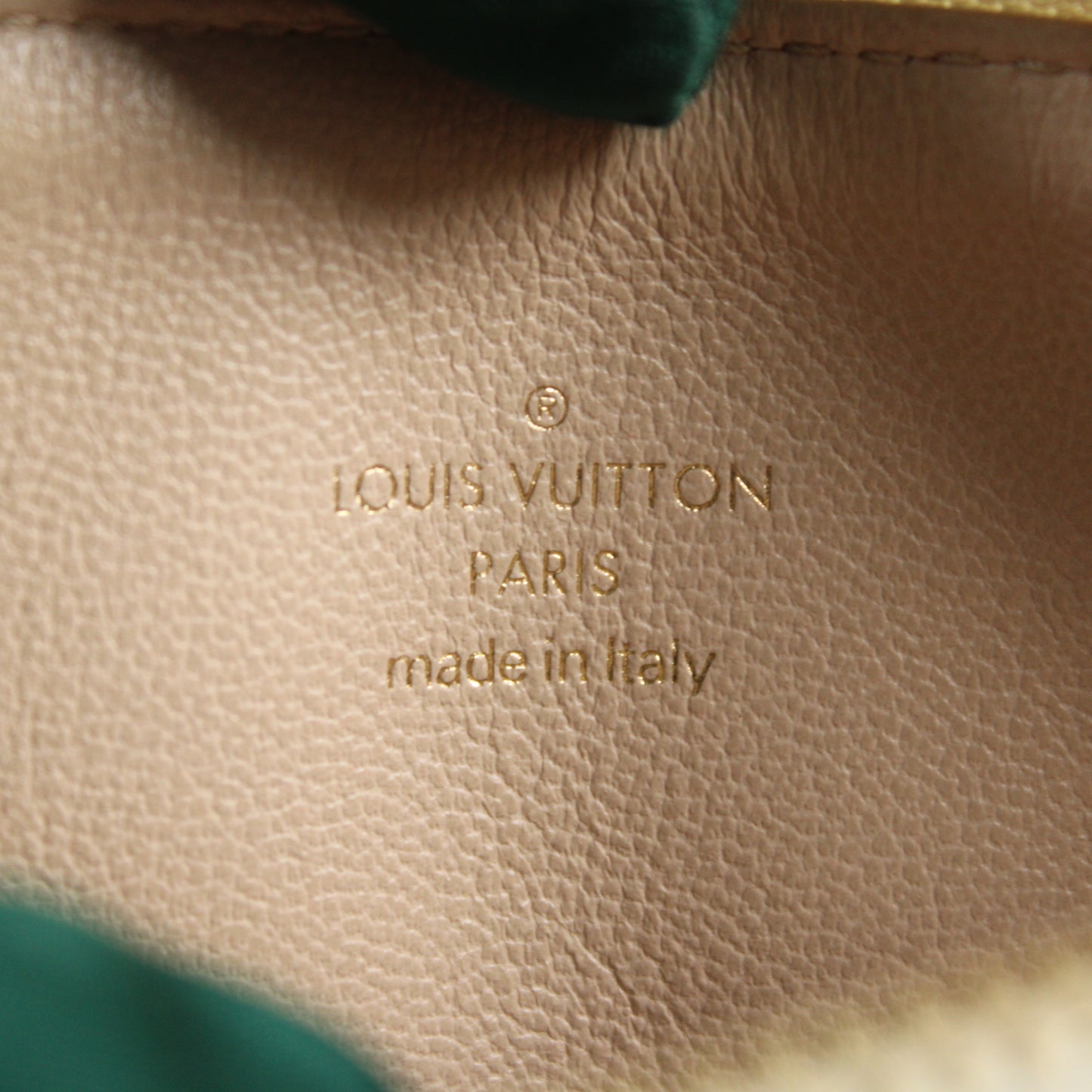 Louis Vuitton Coussin BB Edizione Limitata