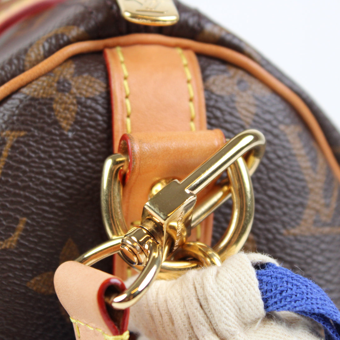 Louis Vuitton Speedy Bandouliere 30