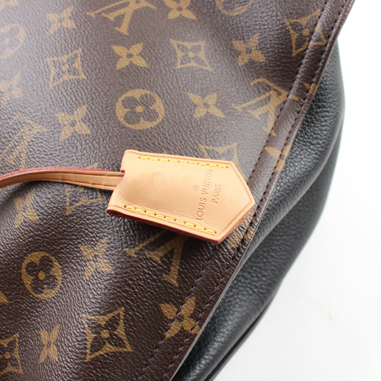 Louis Vuitton Gaia