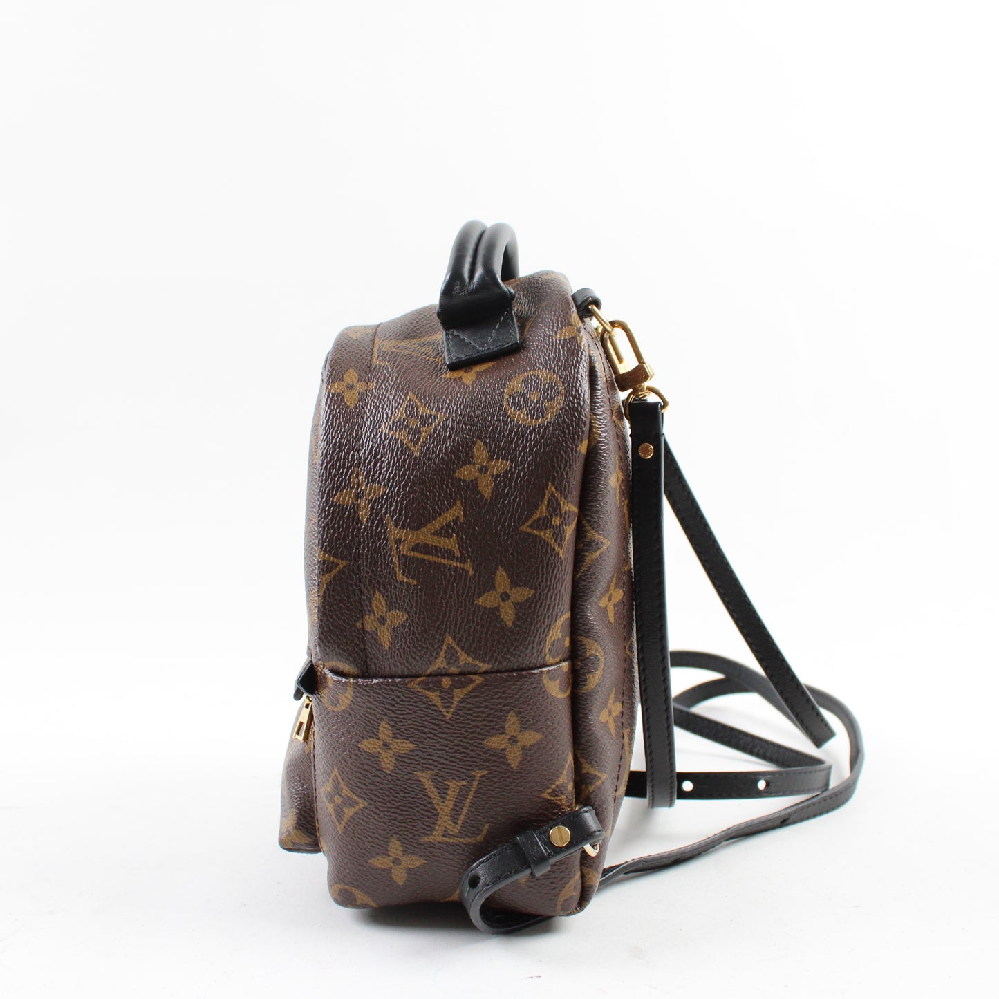 Louis Vuitton Zaino Palm Springs Mini