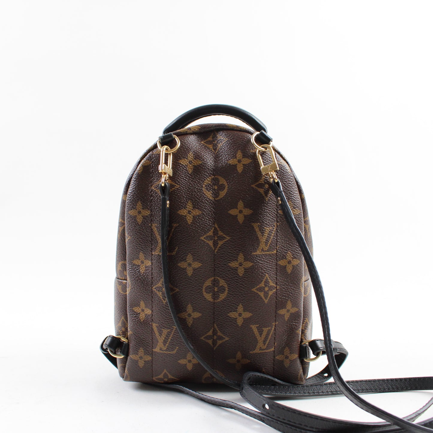 Louis Vuitton Zaino Palm Springs Mini