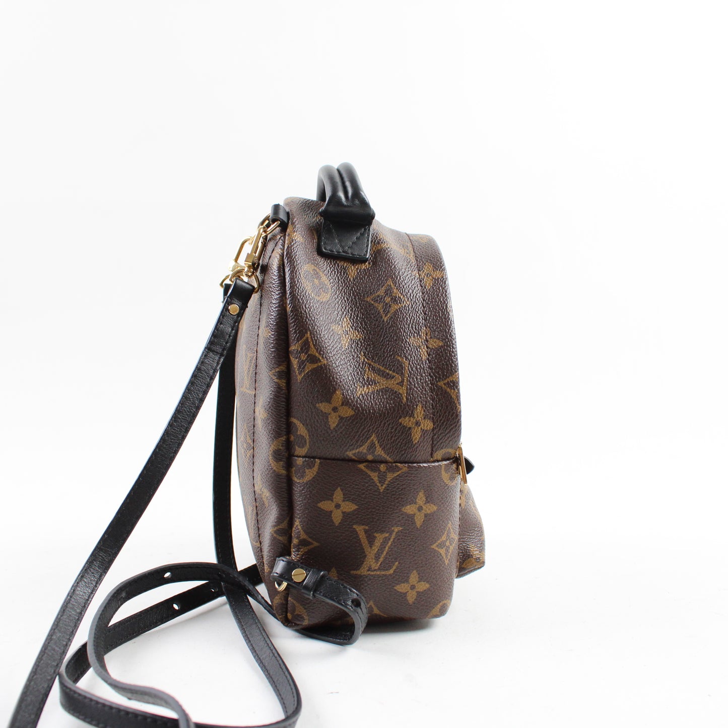 Louis Vuitton Zaino Palm Springs Mini