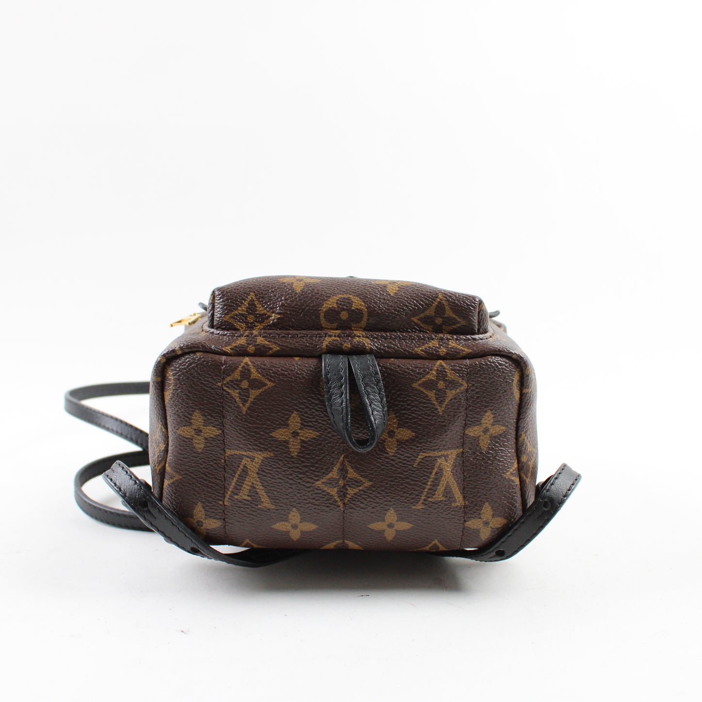 Louis Vuitton Zaino Palm Springs Mini