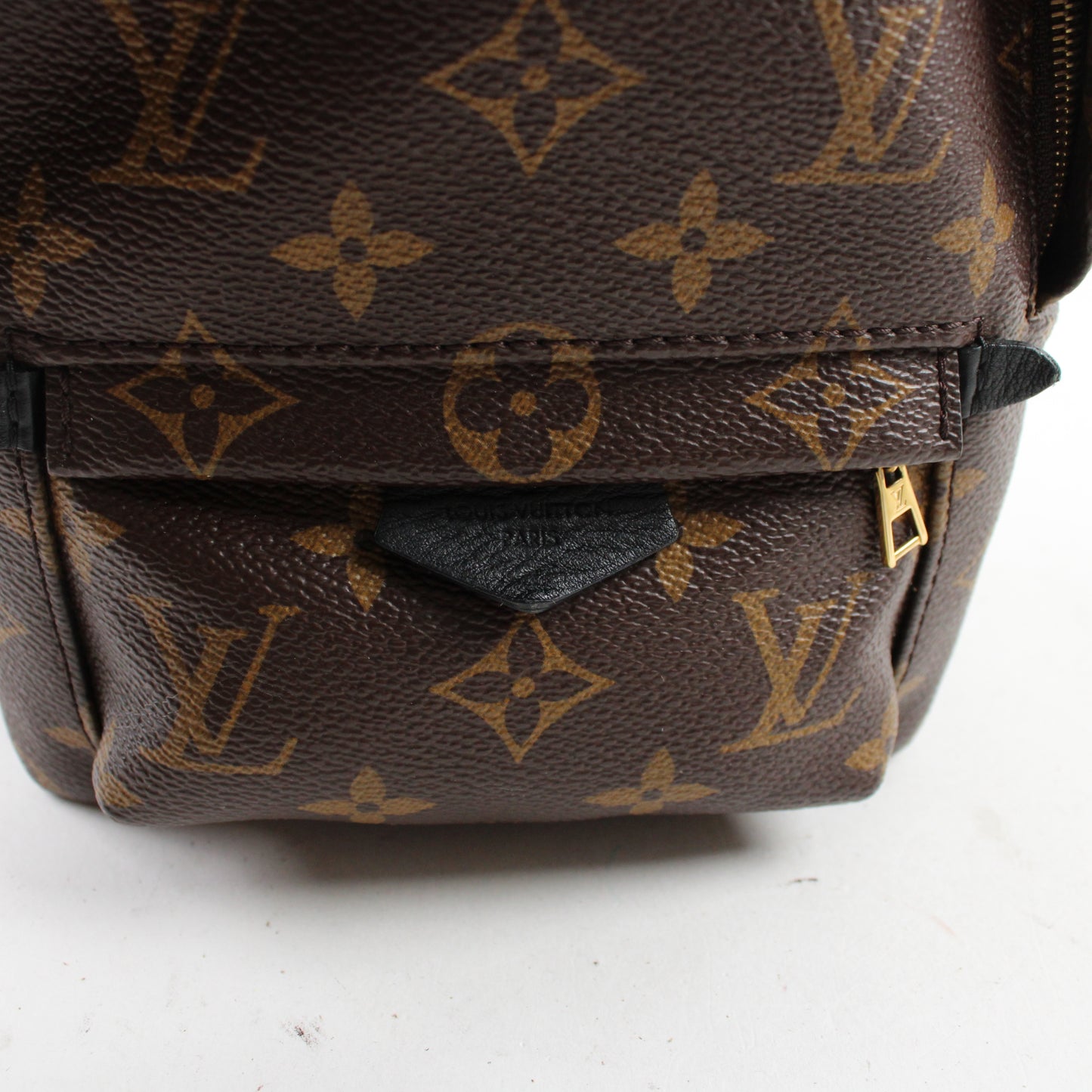 Louis Vuitton Zaino Palm Springs Mini
