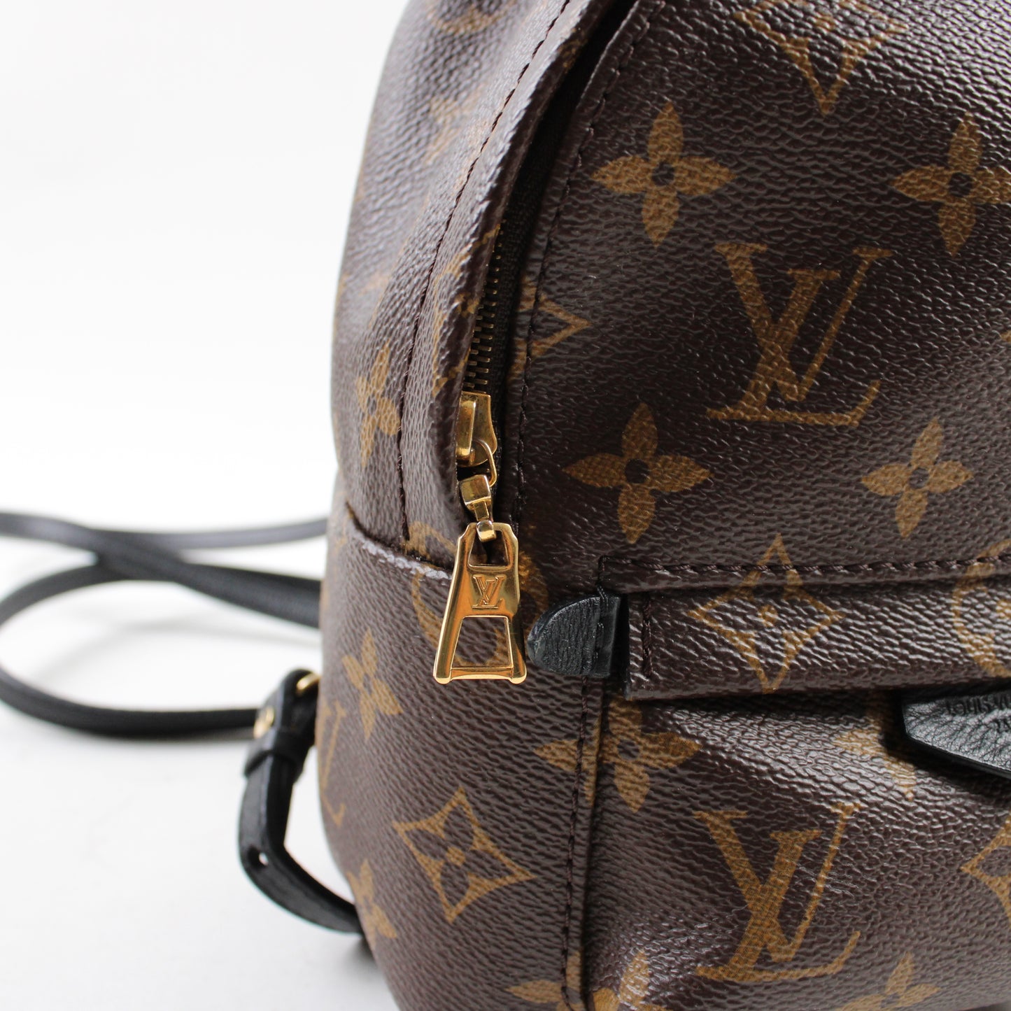 Louis Vuitton Zaino Palm Springs Mini