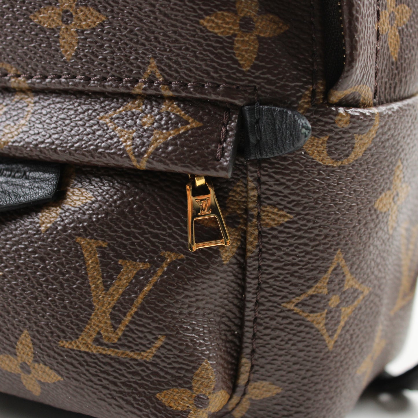 Louis Vuitton Zaino Palm Springs Mini