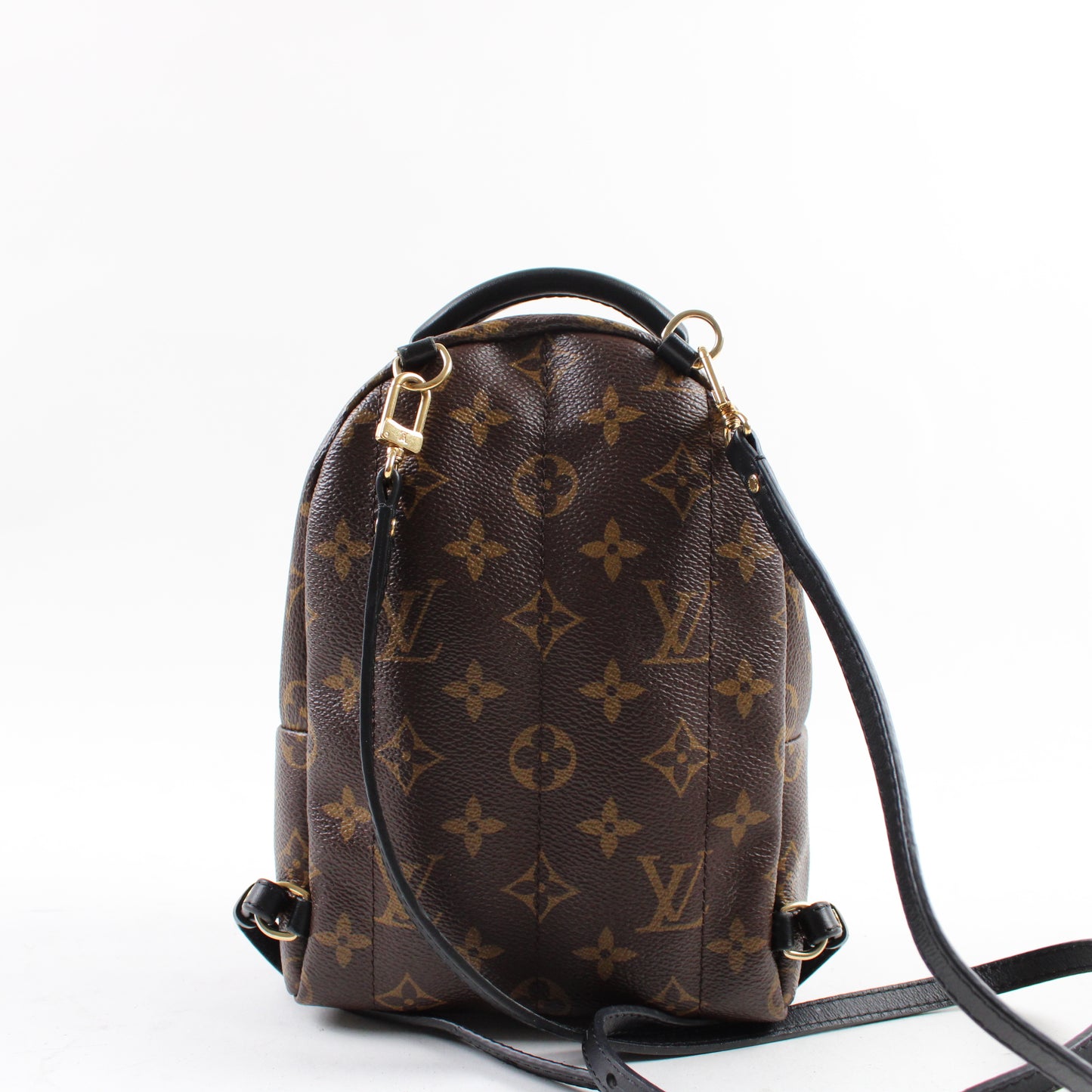 Louis Vuitton Zaino Palm Springs Mini