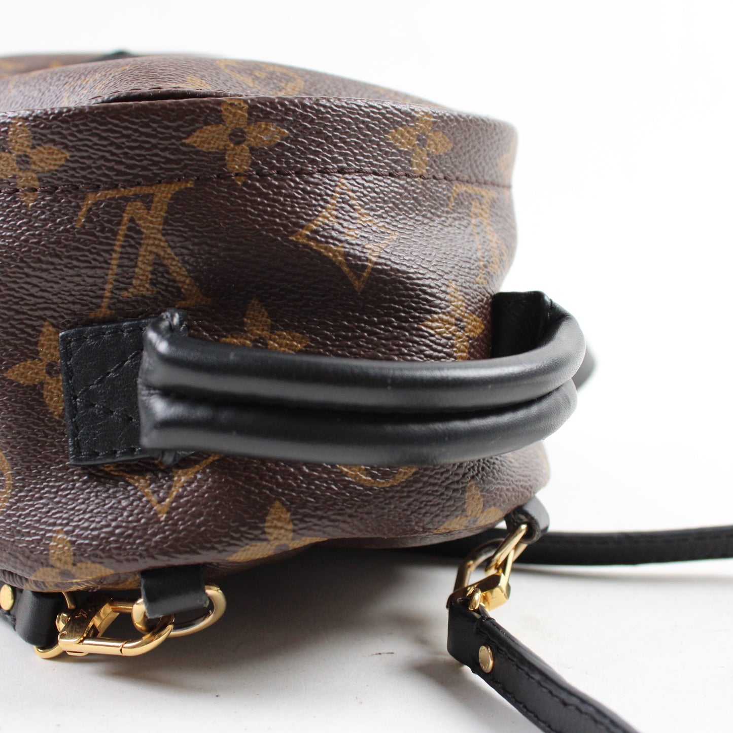 Louis Vuitton Zaino Palm Springs Mini