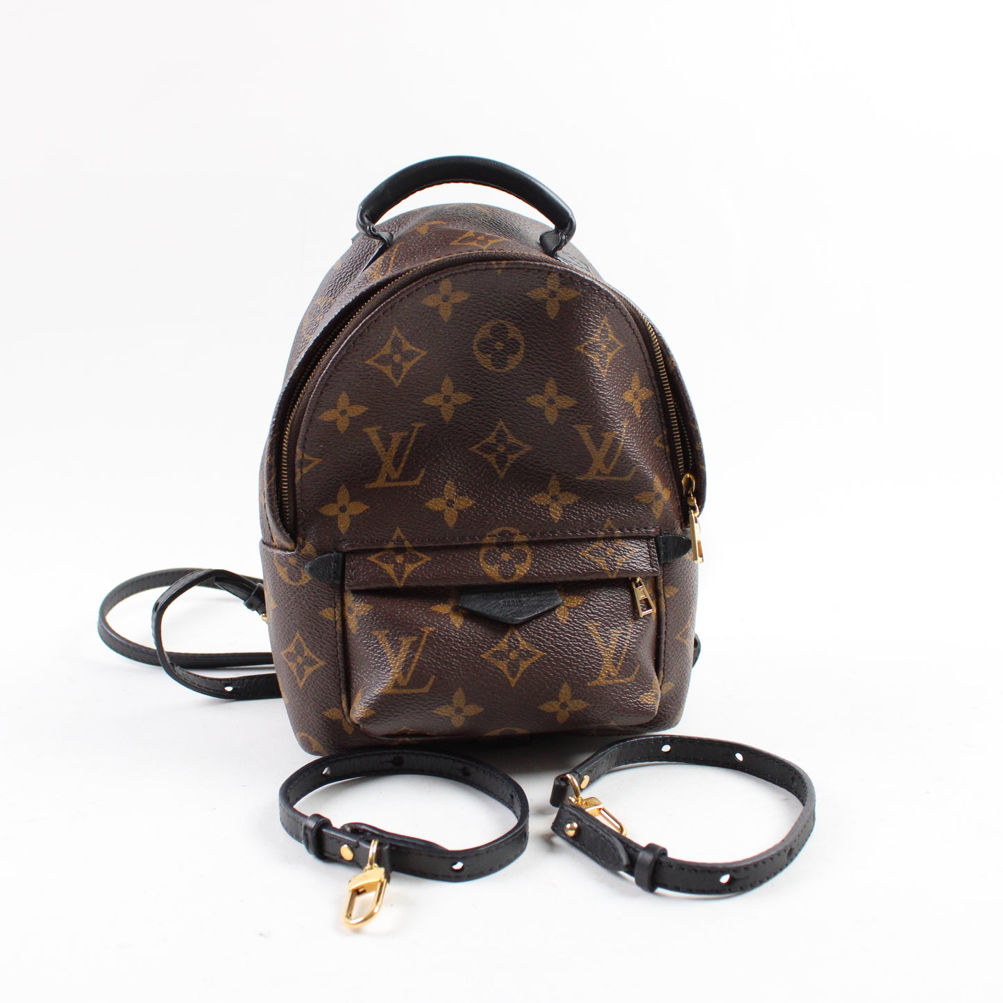 Louis Vuitton Zaino Palm Springs Mini