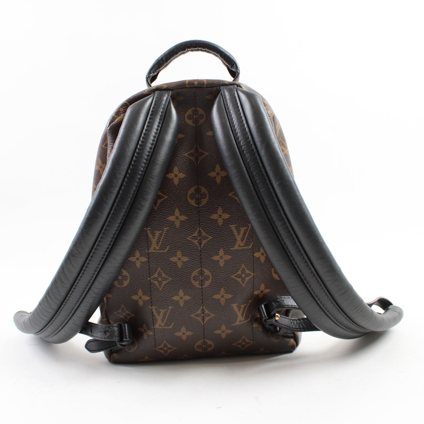 Louis Vuitton Palm Springs PM Monogram