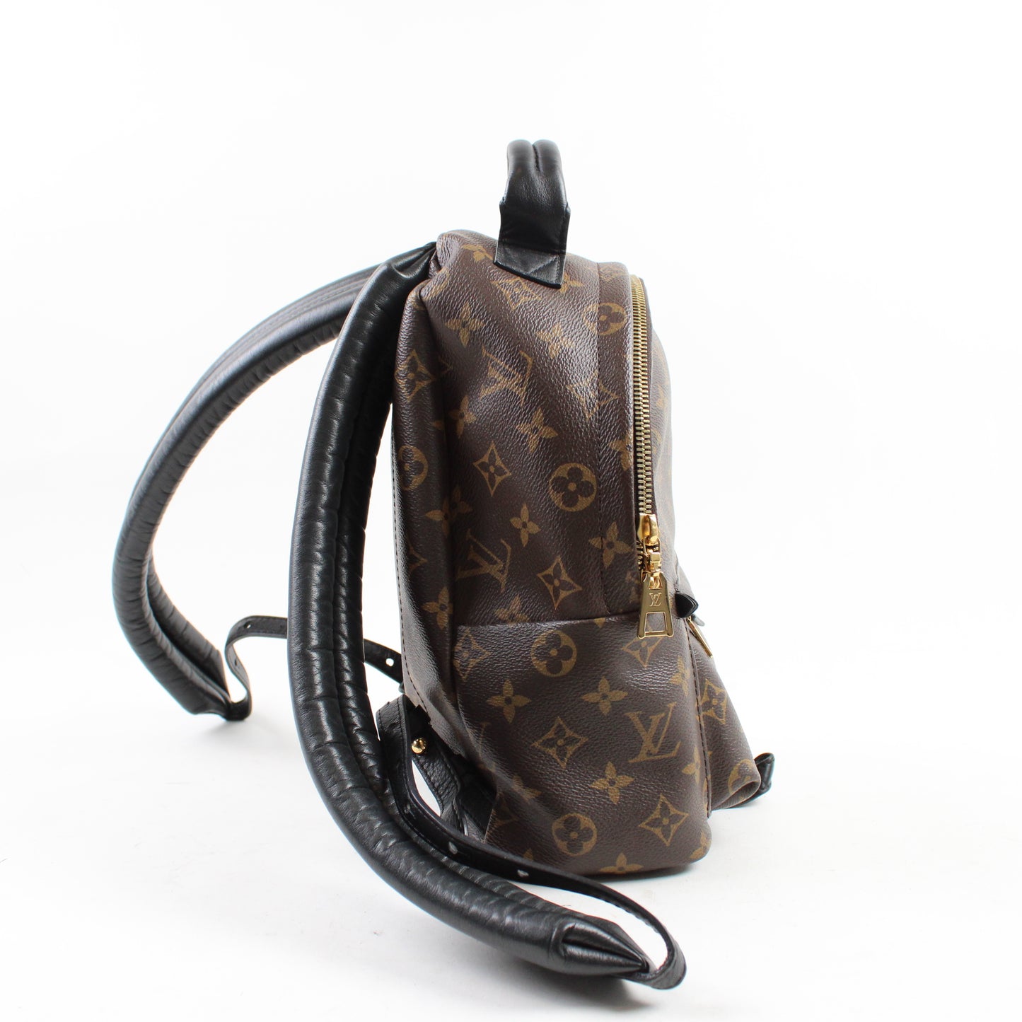 Louis Vuitton Palm Springs PM Monogram