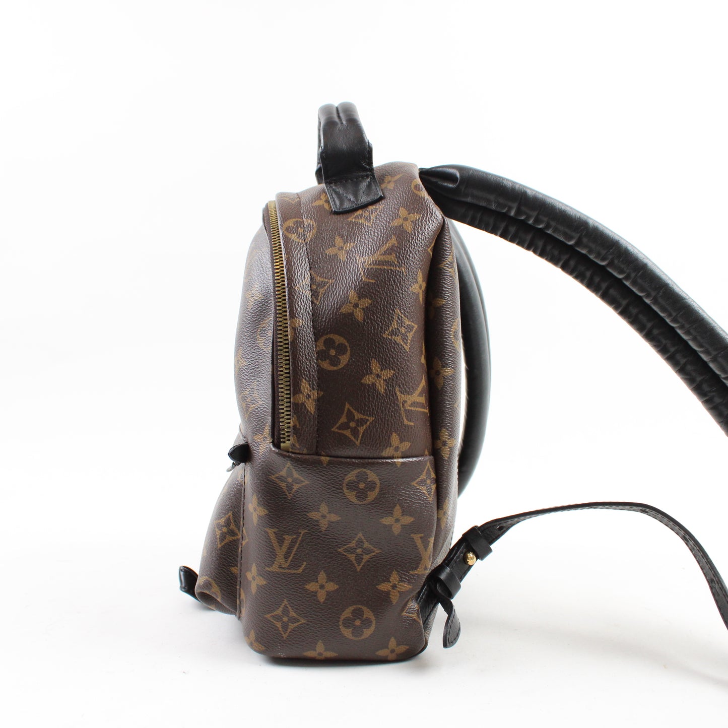 Louis Vuitton Palm Springs PM Monogram