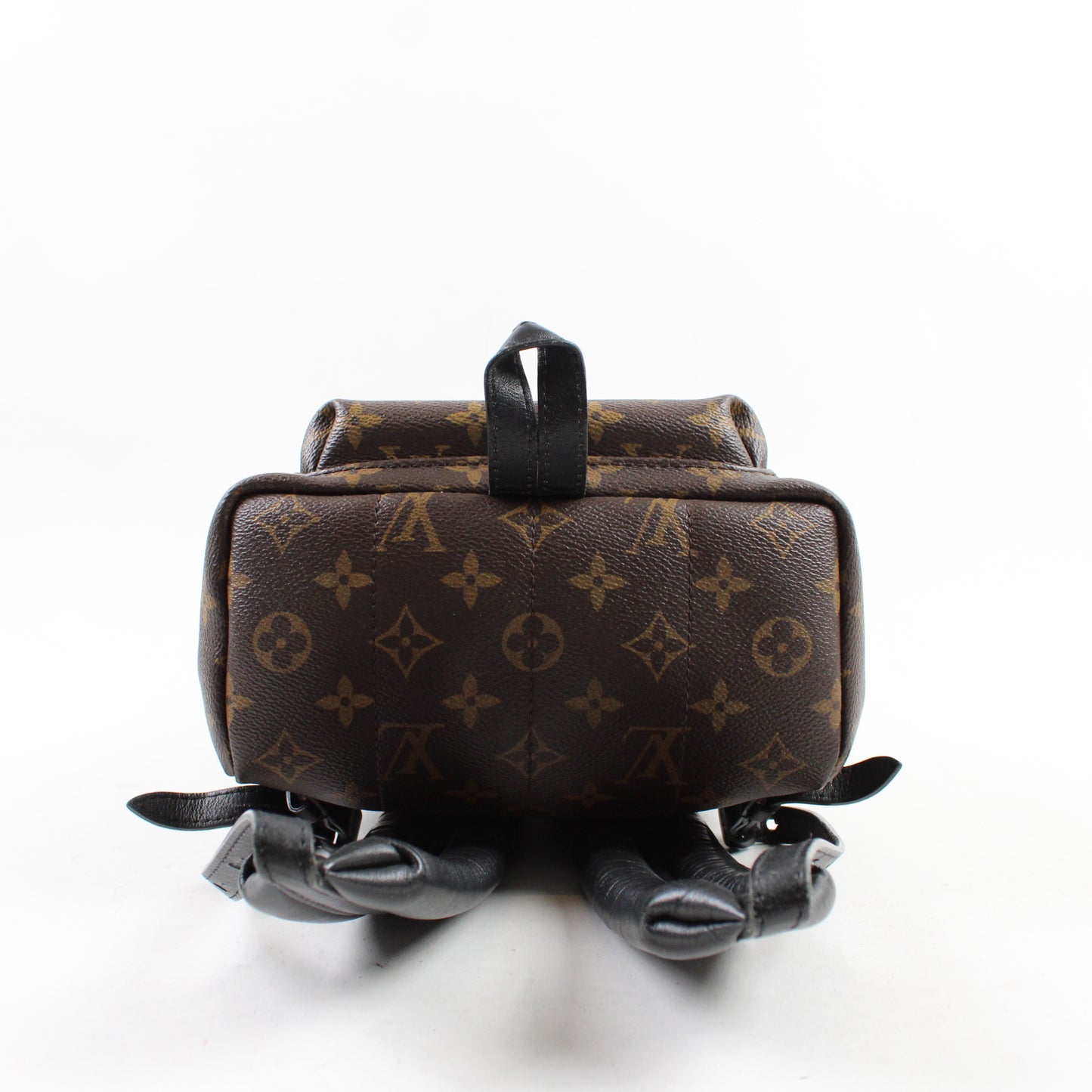 Louis Vuitton Palm Springs PM Monogram