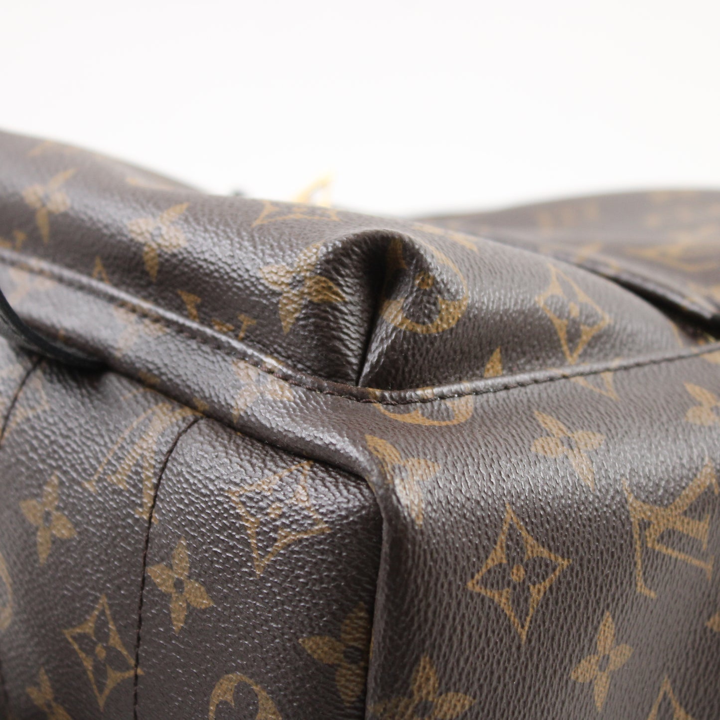 Louis Vuitton Palm Springs PM Monogram