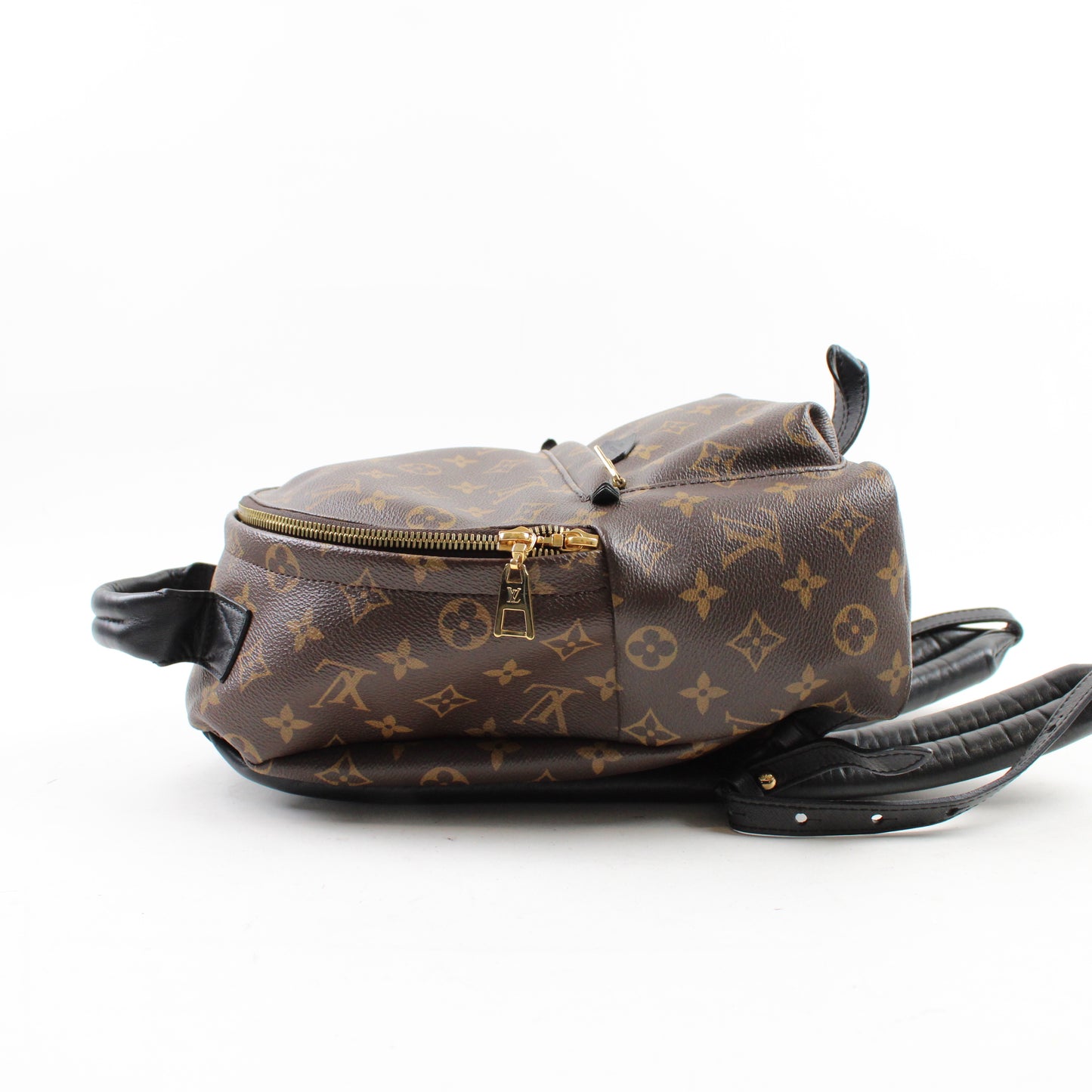 Louis Vuitton Palm Springs PM Monogram