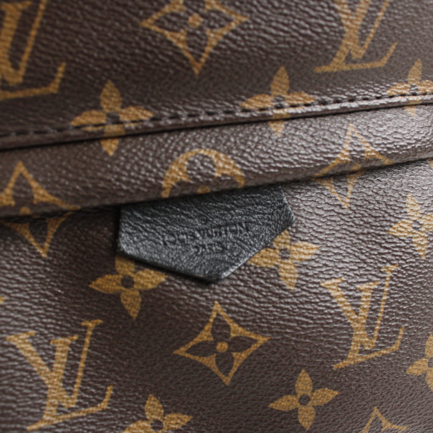 Louis Vuitton Palm Springs PM Monogram