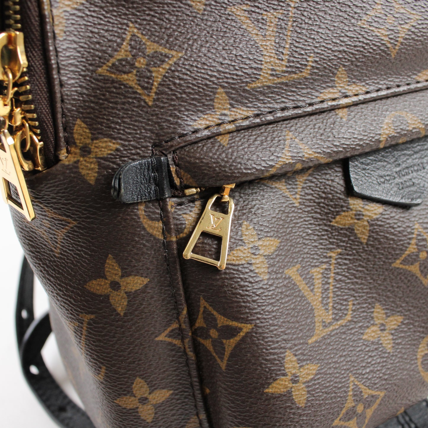 Louis Vuitton Palm Springs PM Monogram