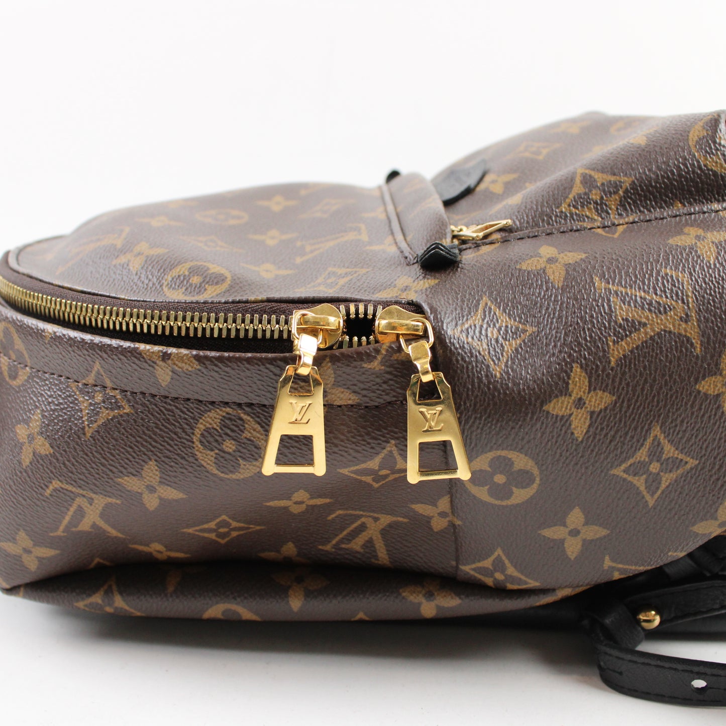 Louis Vuitton Palm Springs PM Monogram